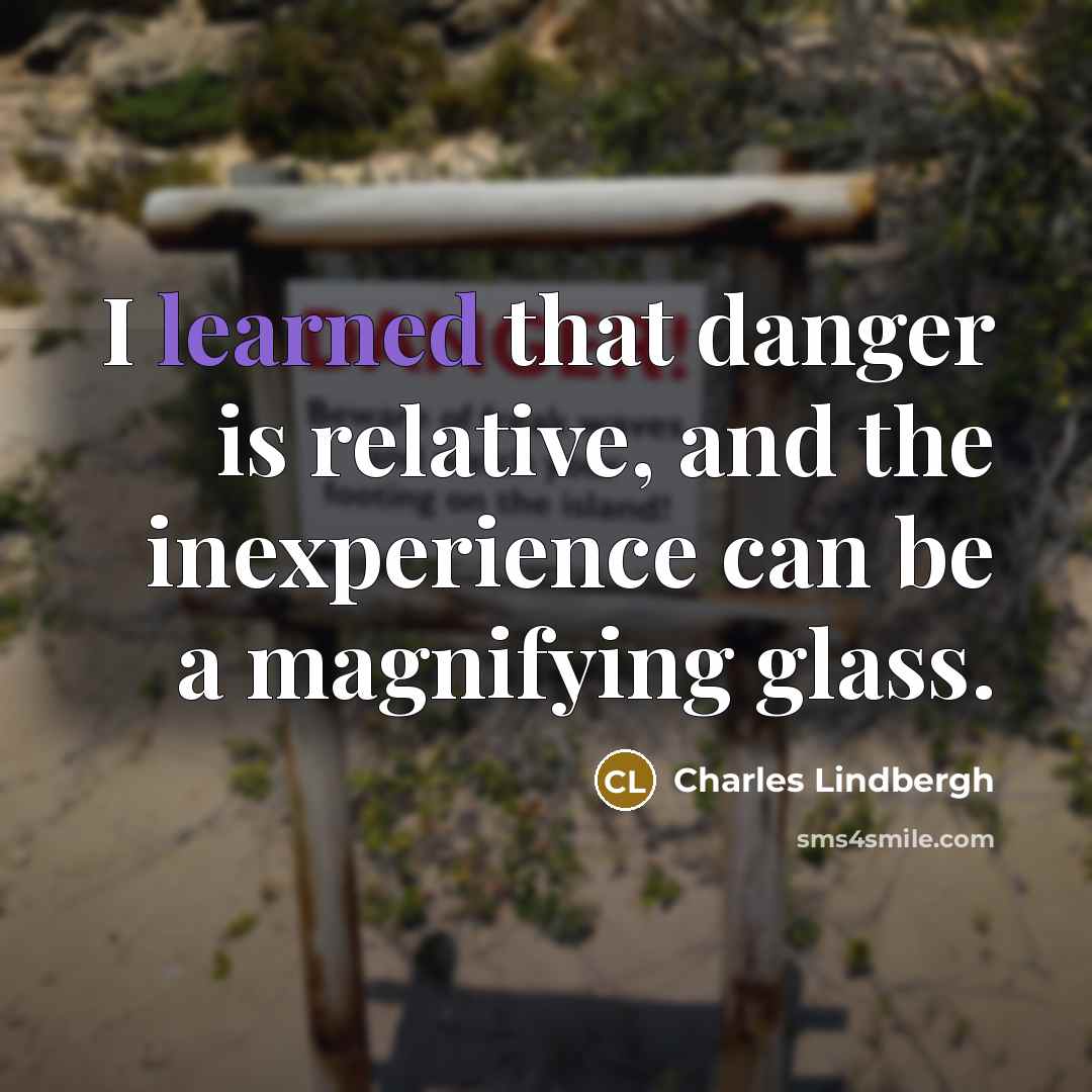 “I learned that danger is relative, and the inexperience can…” quote by Charles Lindbergh