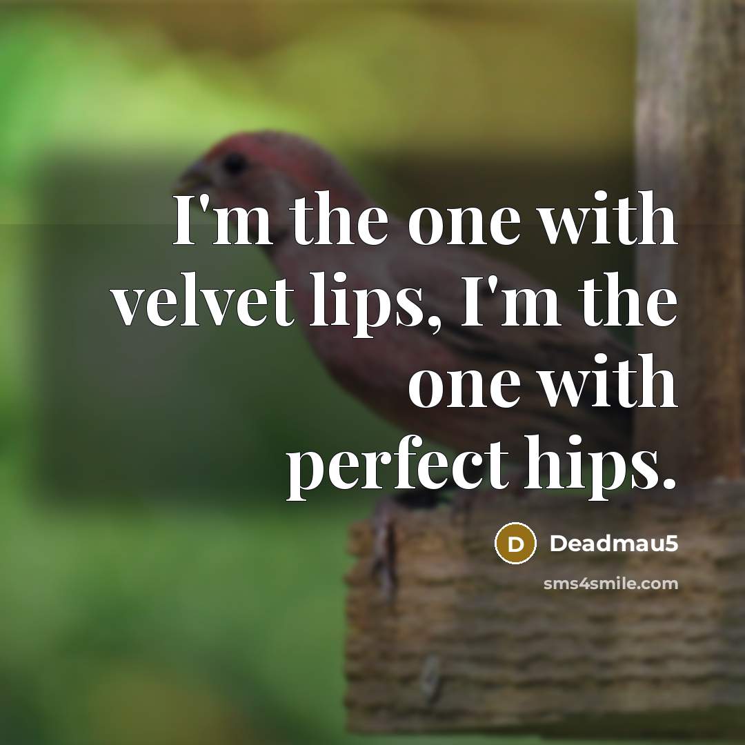 “I'm the one with velvet lips, I'm the one with…” quote by Deadmau5