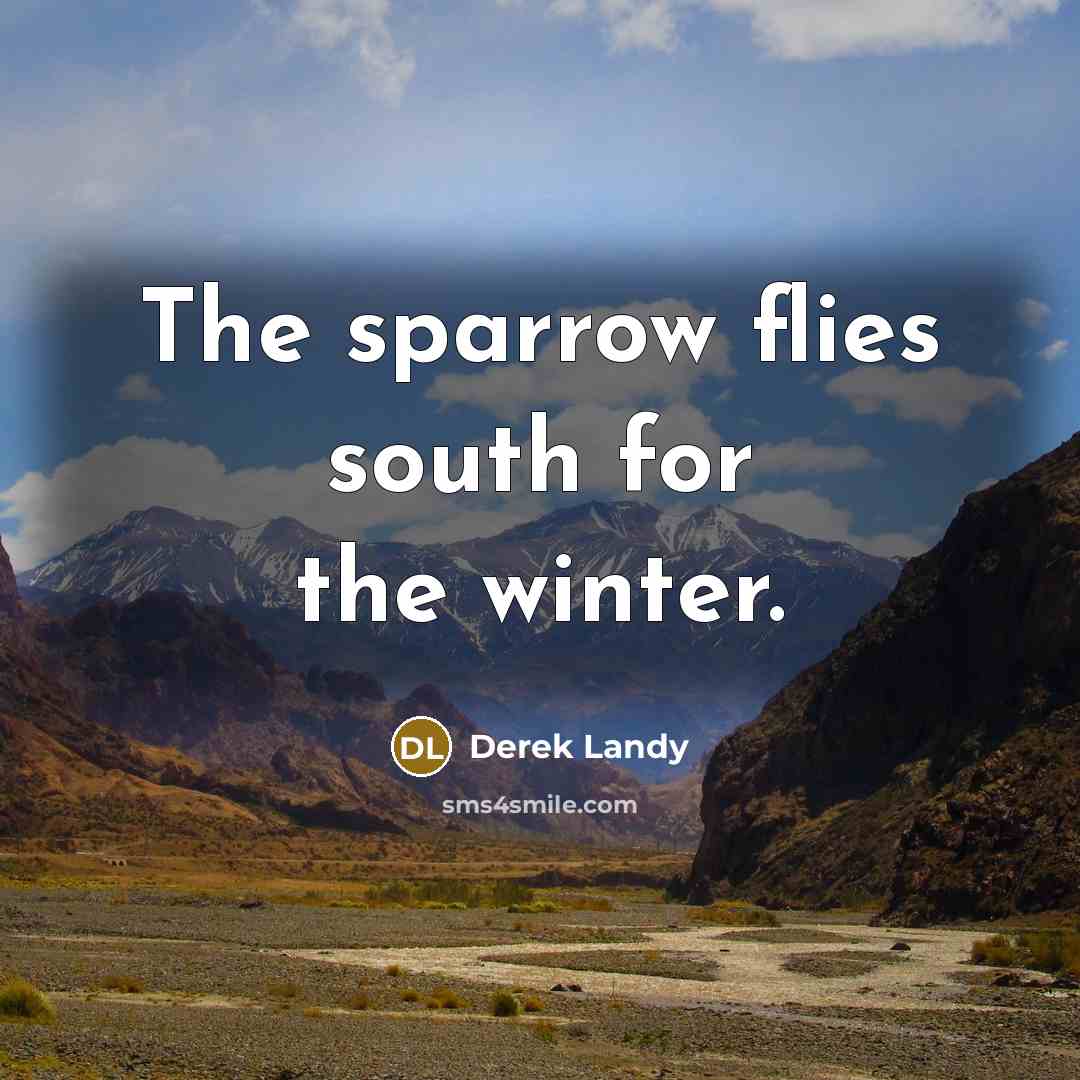 “The sparrow flies south for the winter.” quote by Derek Landy
