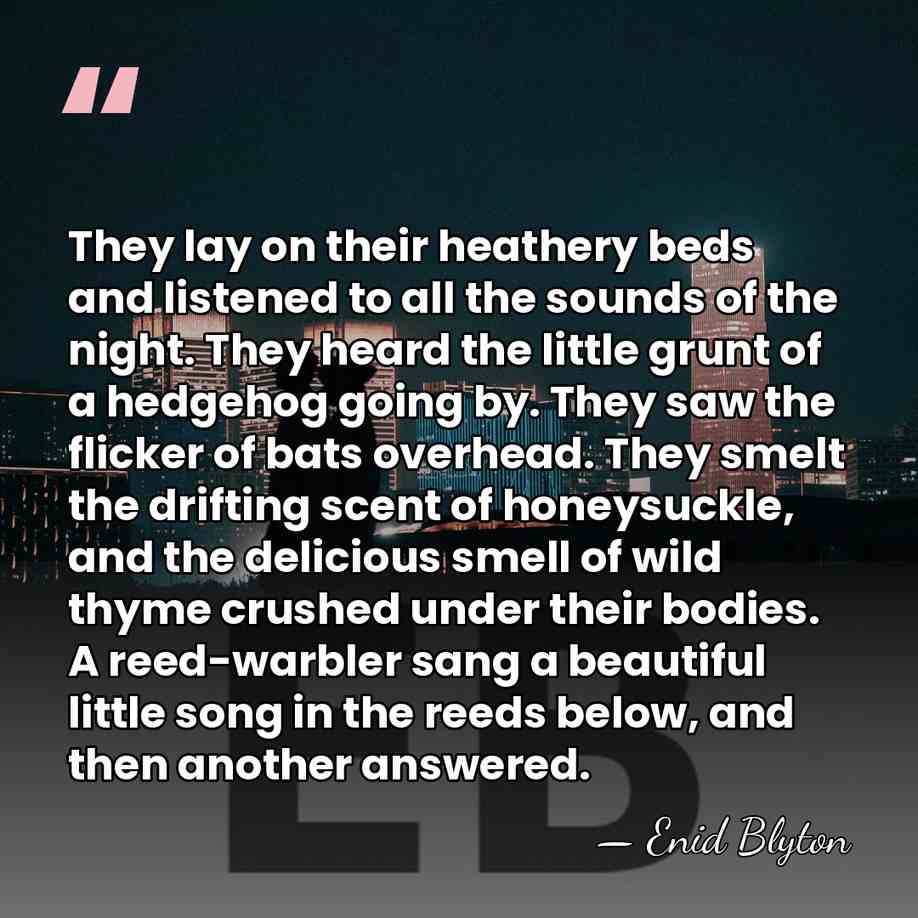 They lay on their heathery beds and listened to all the sounds&hellip; - Enid Blyton