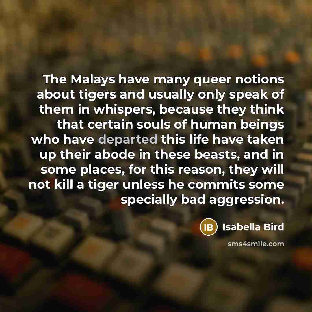 “The Malays have many queer notions about tigers and usually…” quote by Isabella Bird