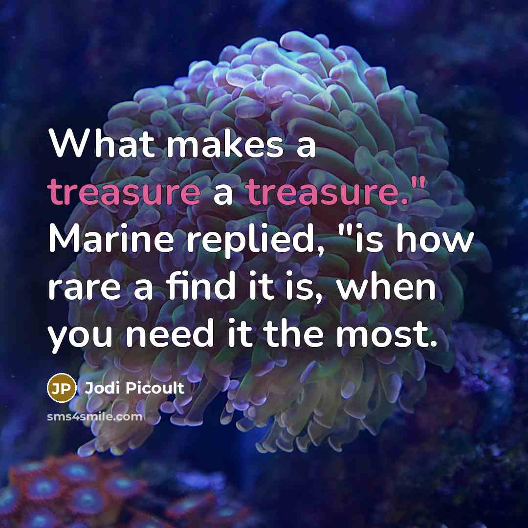 “What makes a treasure a treasure." Marine replied, "is how…” quote by Jodi Picoult