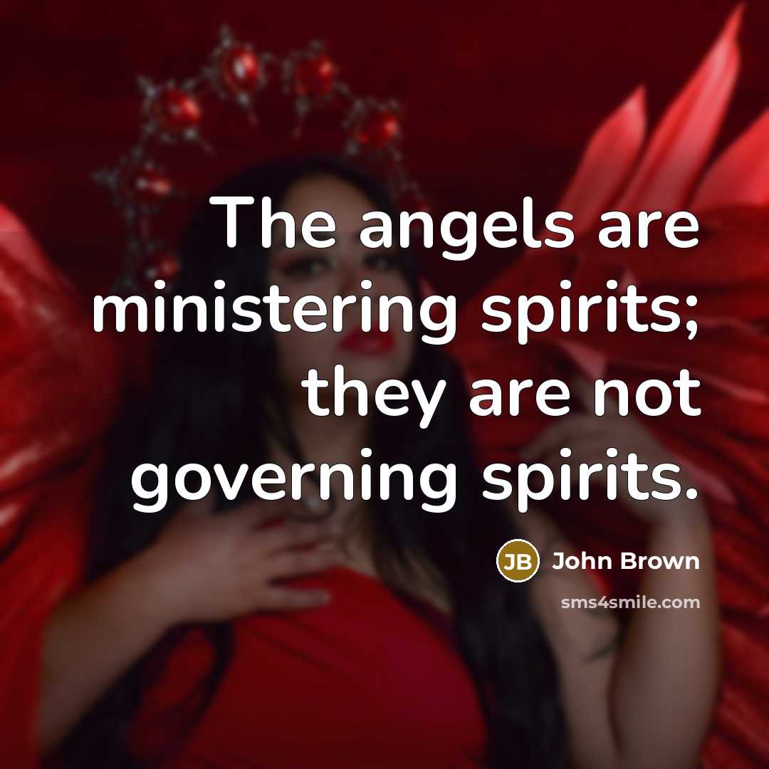 “The angels are ministering spirits; they are not governing spirits.…” quote by John Brown
