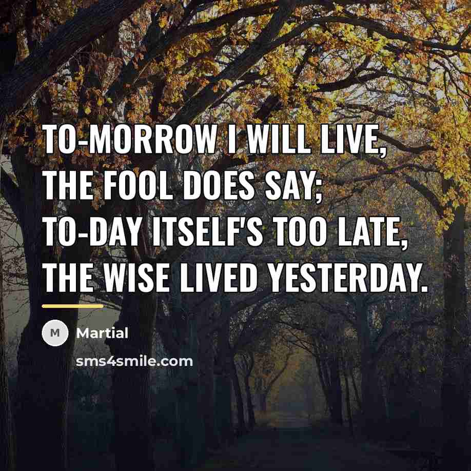 “To-morrow I will live, the fool does say; To-day itself's…” quote by Martial
