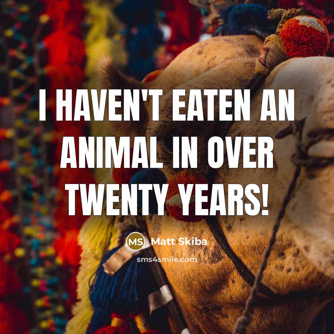 “I haven't eaten an animal in over twenty years!…” quote by Matt Skiba