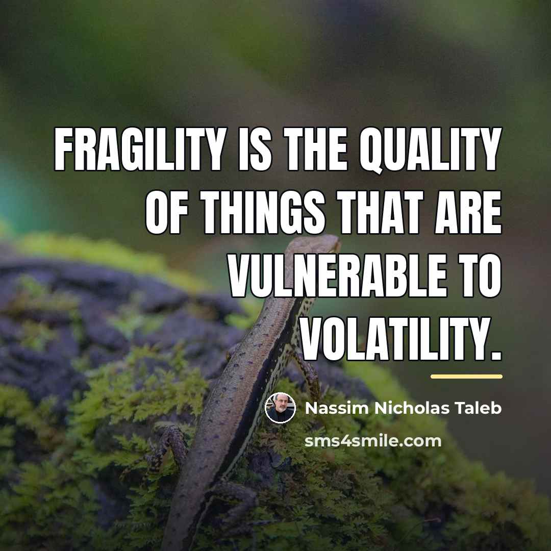 “Fragility is the quality of things that are vulnerable to…” quote by Nassim Nicholas Taleb