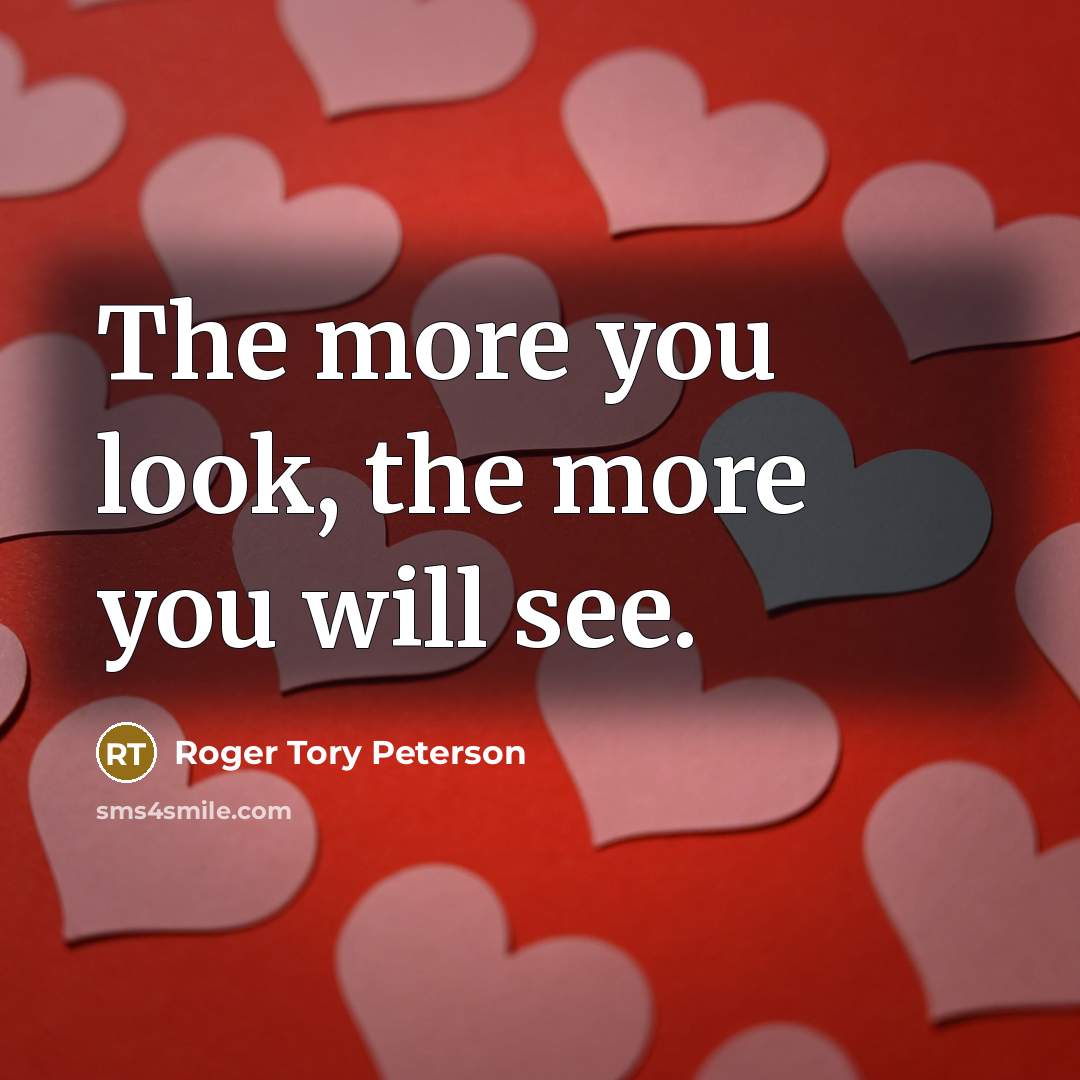 “The more you look, the more you will see.…” quote by Roger Tory Peterson