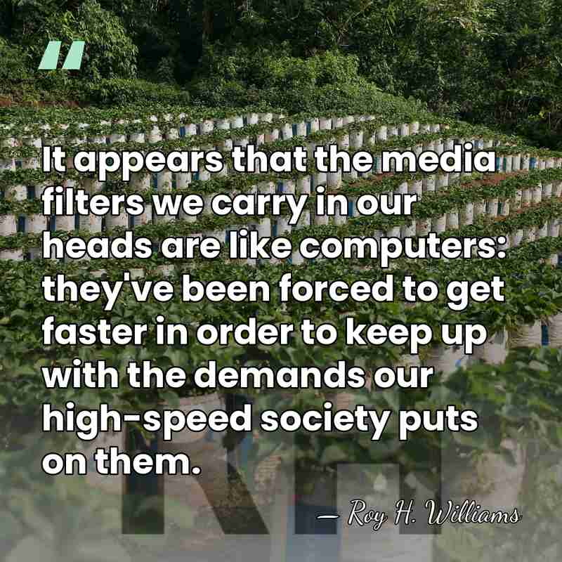 It appears that the media filters we carry in our heads are&hellip; - Roy H. Williams