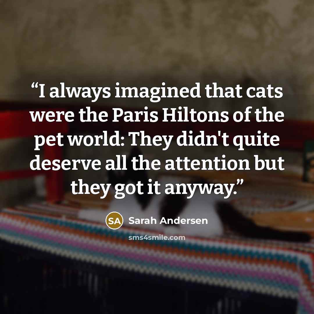 “I always imagined that cats were the Paris Hiltons of the pet world: They didn't quite deserve all the attention but they got it anyway.” quote by Sarah Andersen