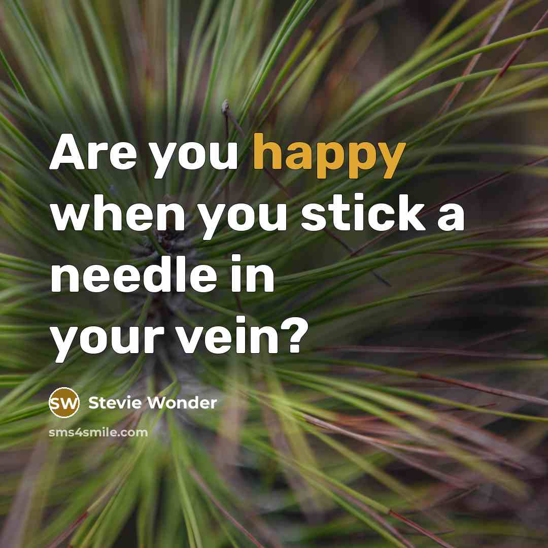 “Are you happy when you stick a needle in your…” quote by Stevie Wonder