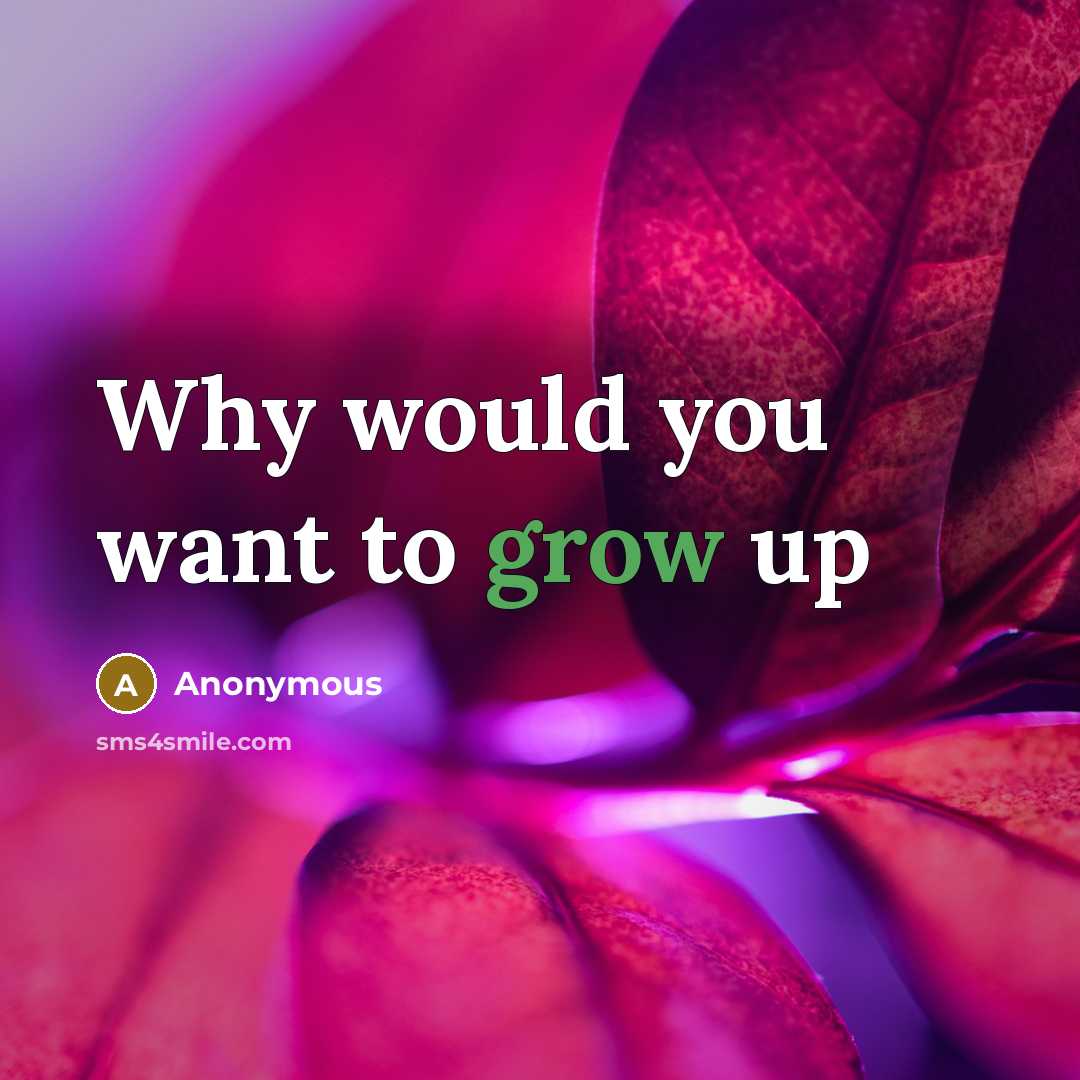 “Why would you want to grow up…” quote by Anonymous