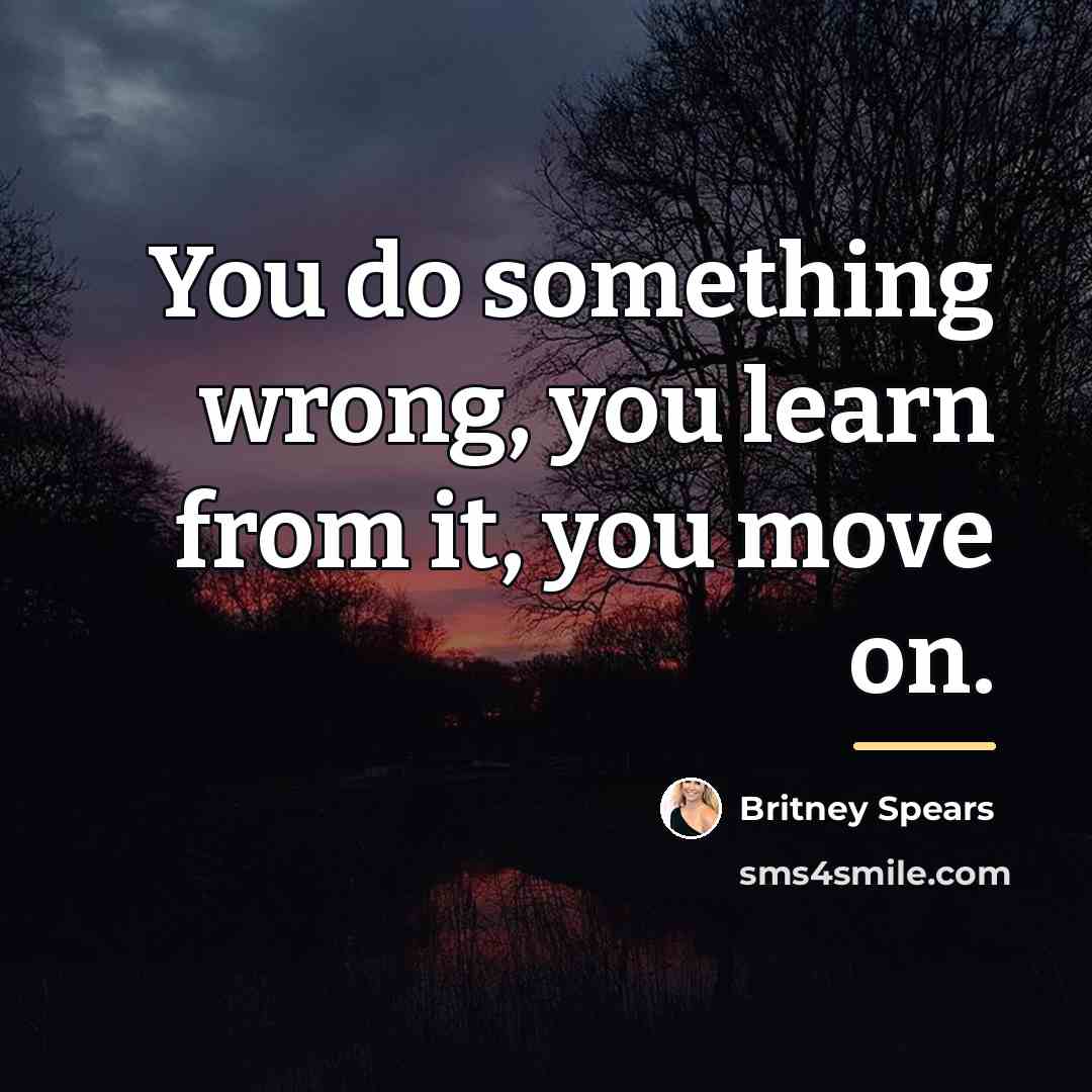 “You do something wrong, you learn from it, you move…” quote by Britney Spears