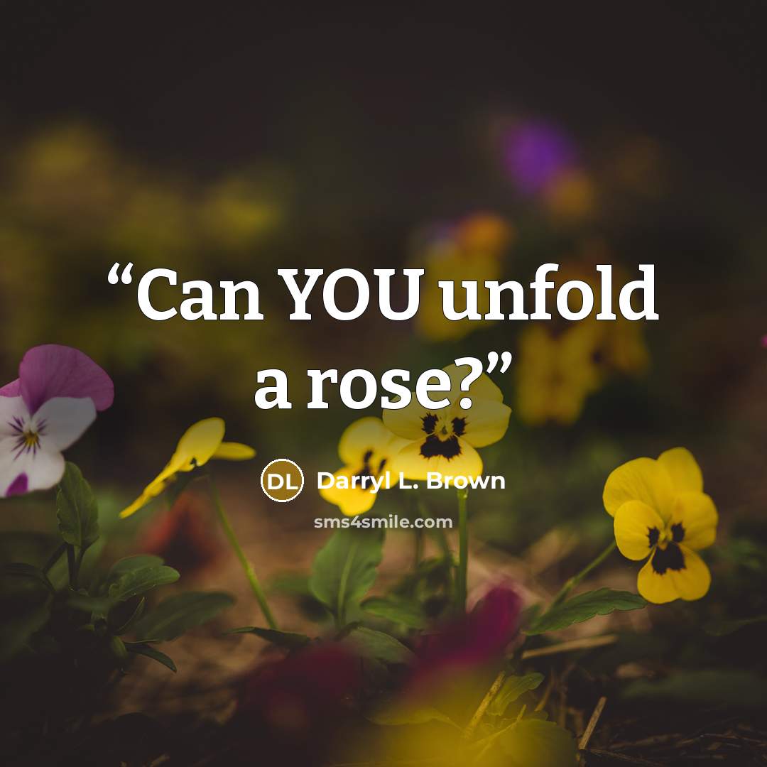 “Can YOU unfold a rose?” quote by Darryl L. Brown