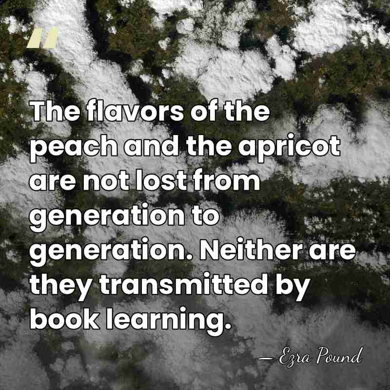 The flavors of the peach and the apricot are not lost from&hellip; - Ezra Pound