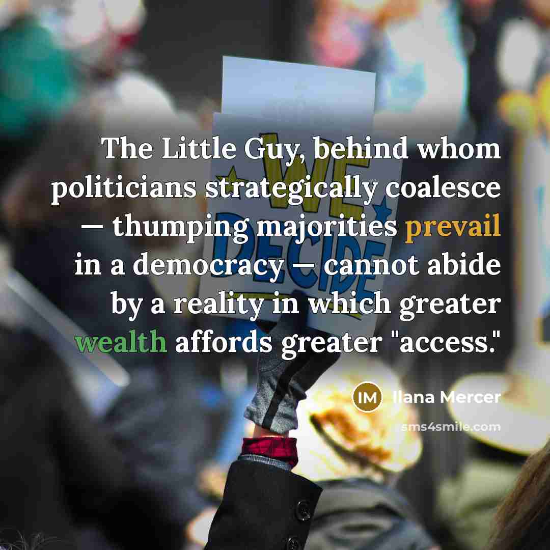 “The Little Guy, behind whom politicians strategically coalesce — thumping…” quote by Ilana Mercer