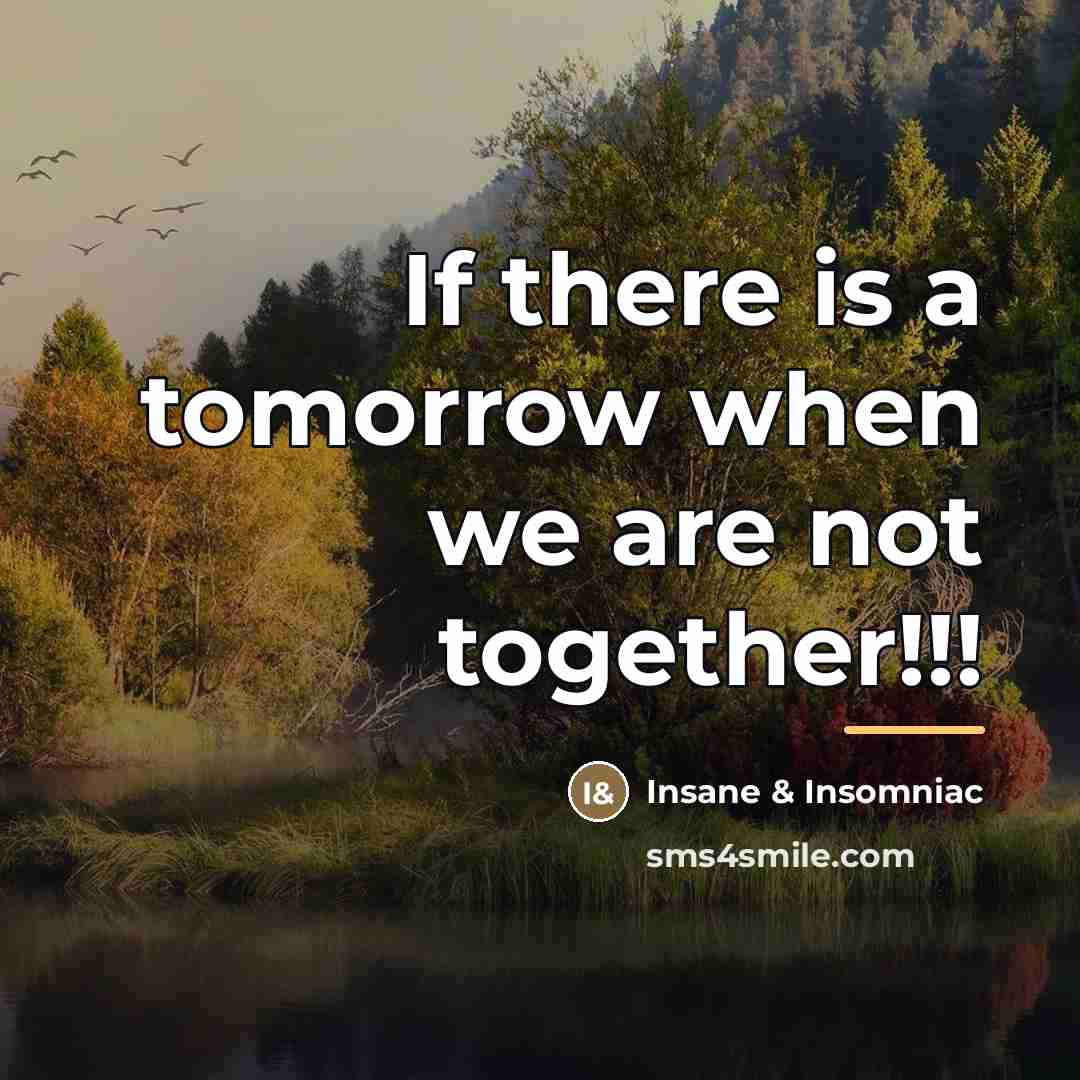“If there is a tomorrow when we are not together!!!…” quote by Insane & Insomniac