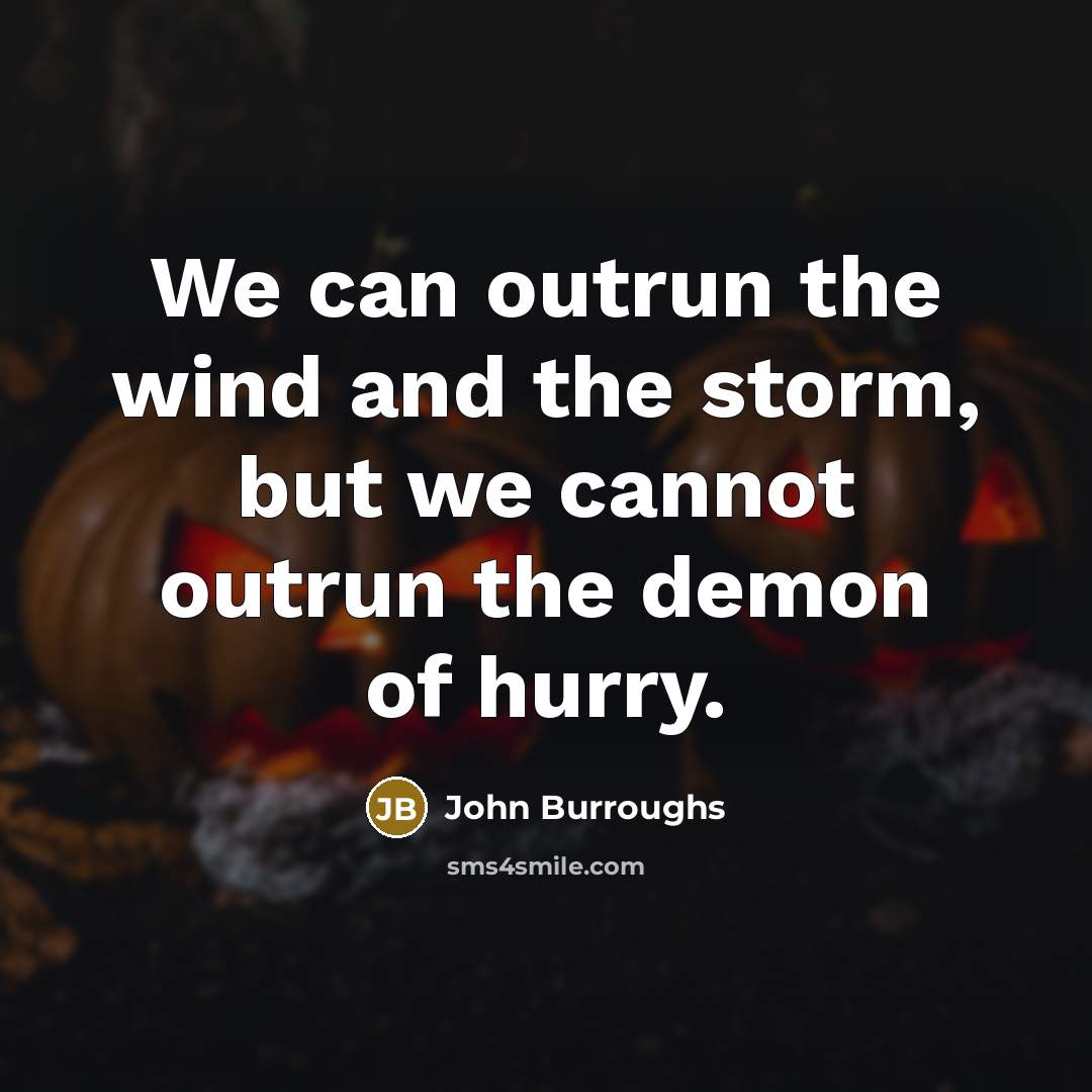 “We can outrun the wind and the storm, but we…” quote by John Burroughs
