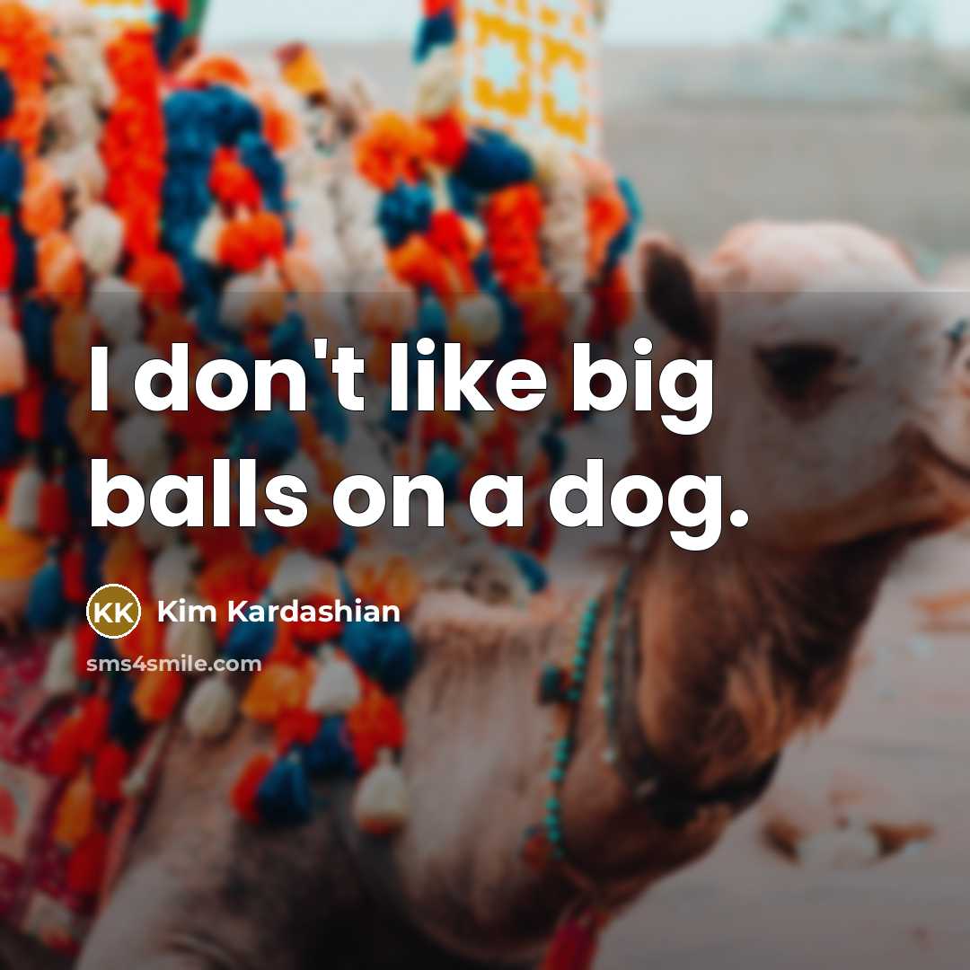 “I don't like big balls on a dog.” quote by Kim Kardashian