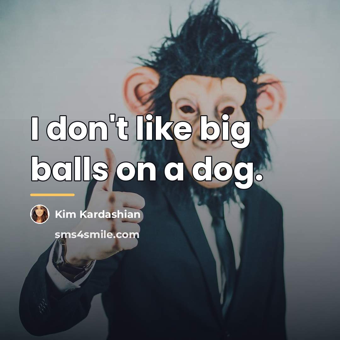 “I don't like big balls on a dog.…” quote by Kim Kardashian
