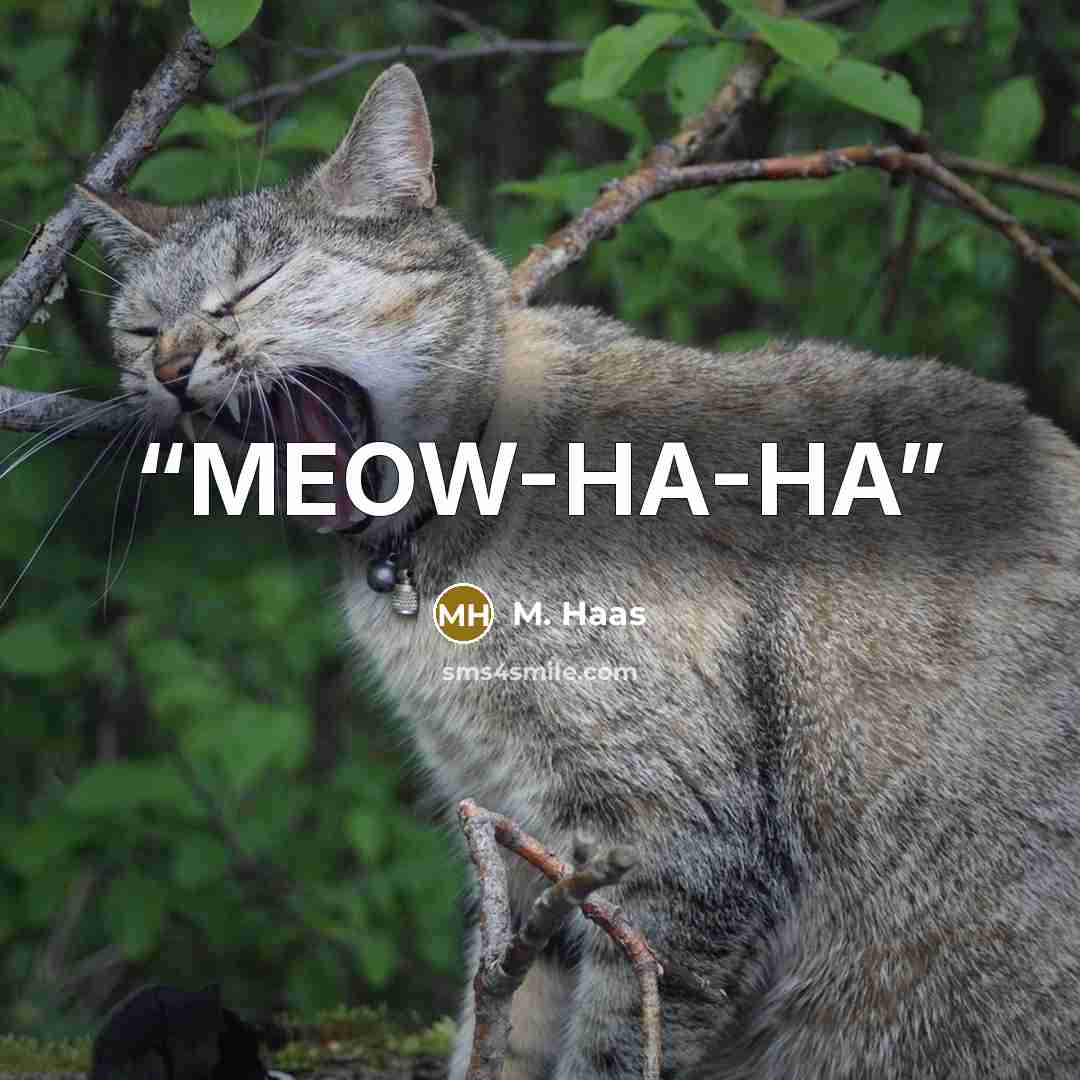 “MEOW-HA-HA” quote by M. Haas