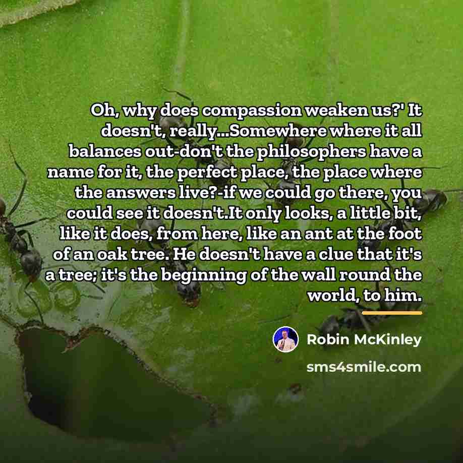 “Oh, why does compassion weaken us?' It doesn't, really...Somewhere where…” quote by Robin McKinley