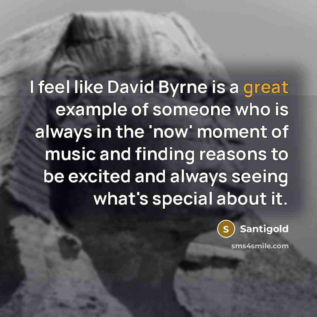 “I feel like David Byrne is a great example of…” quote by Santigold