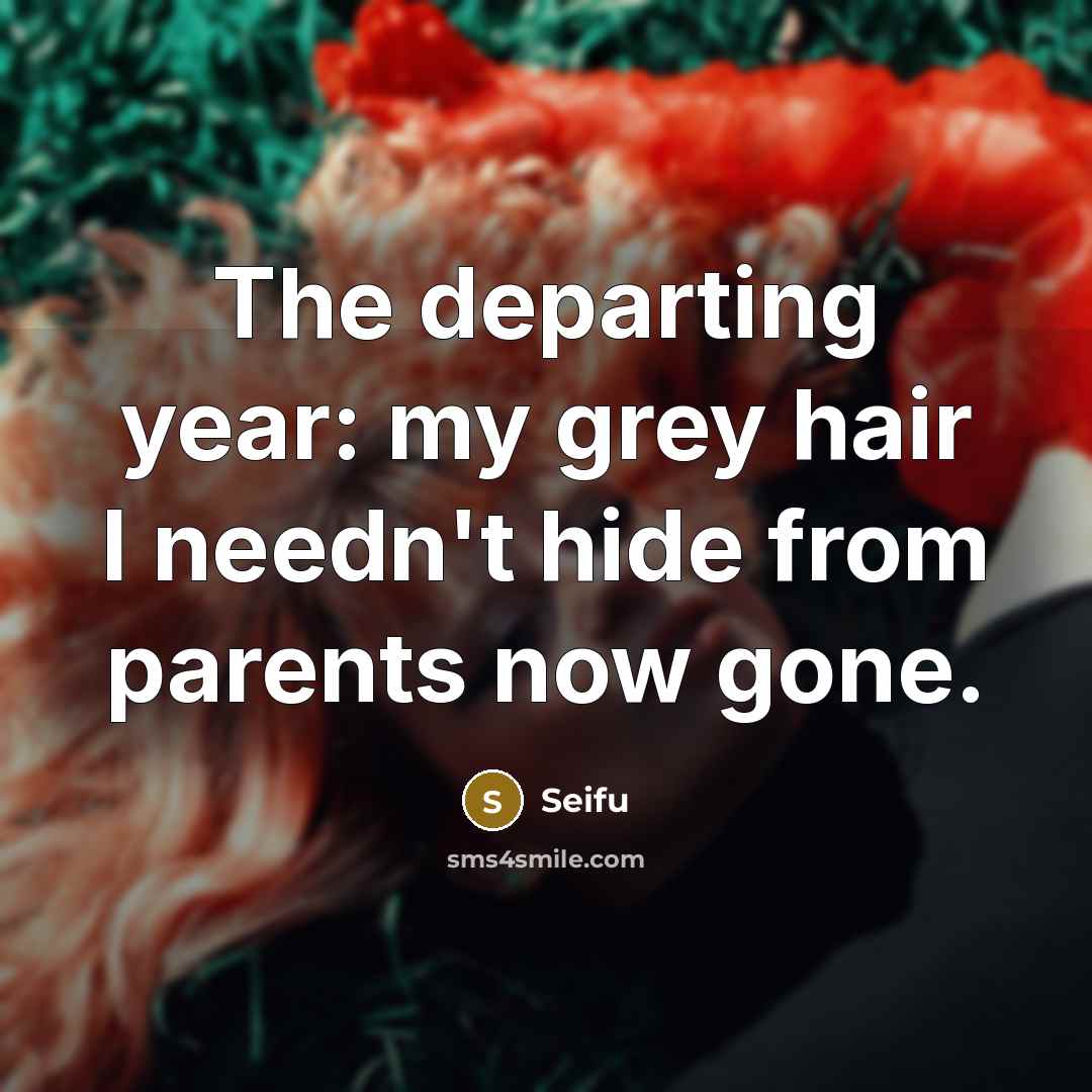 “The departing year: my grey hair I needn't hide from parents now gone.” quote by Seifu