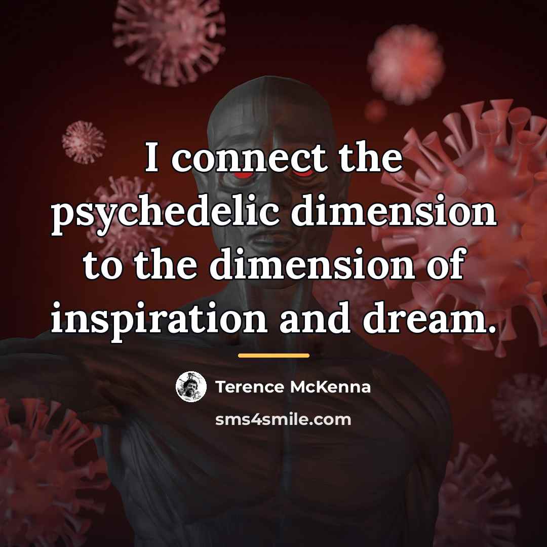 “I connect the psychedelic dimension to the dimension of inspiration…” quote by Terence McKenna