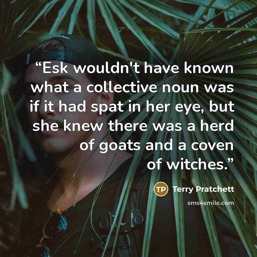 “Esk wouldn't have known what a collective noun was if it had spat in her eye, but she knew there was a herd of goats and a coven of witches.” quote by Terry Pratchett