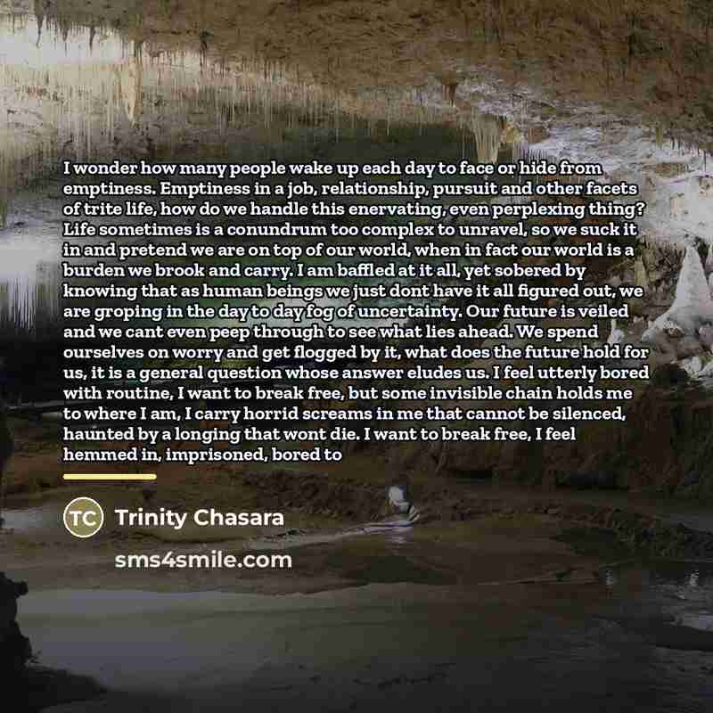 “I wonder how many people wake up each day to…” quote by Trinity Chasara