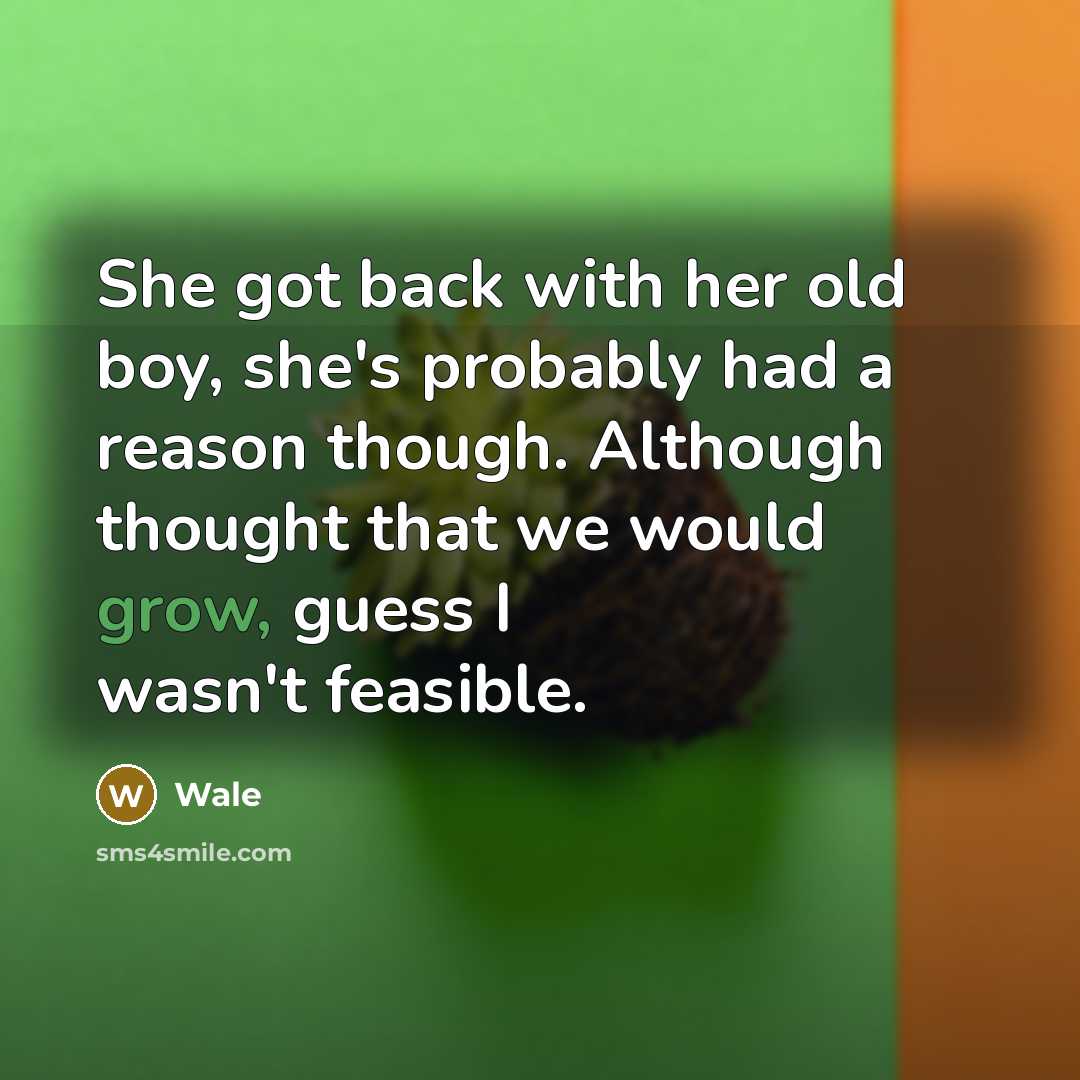 “She got back with her old boy, she's probably had a reason though. Although thought that we would grow, guess I wasn't feasible.” quote by Wale