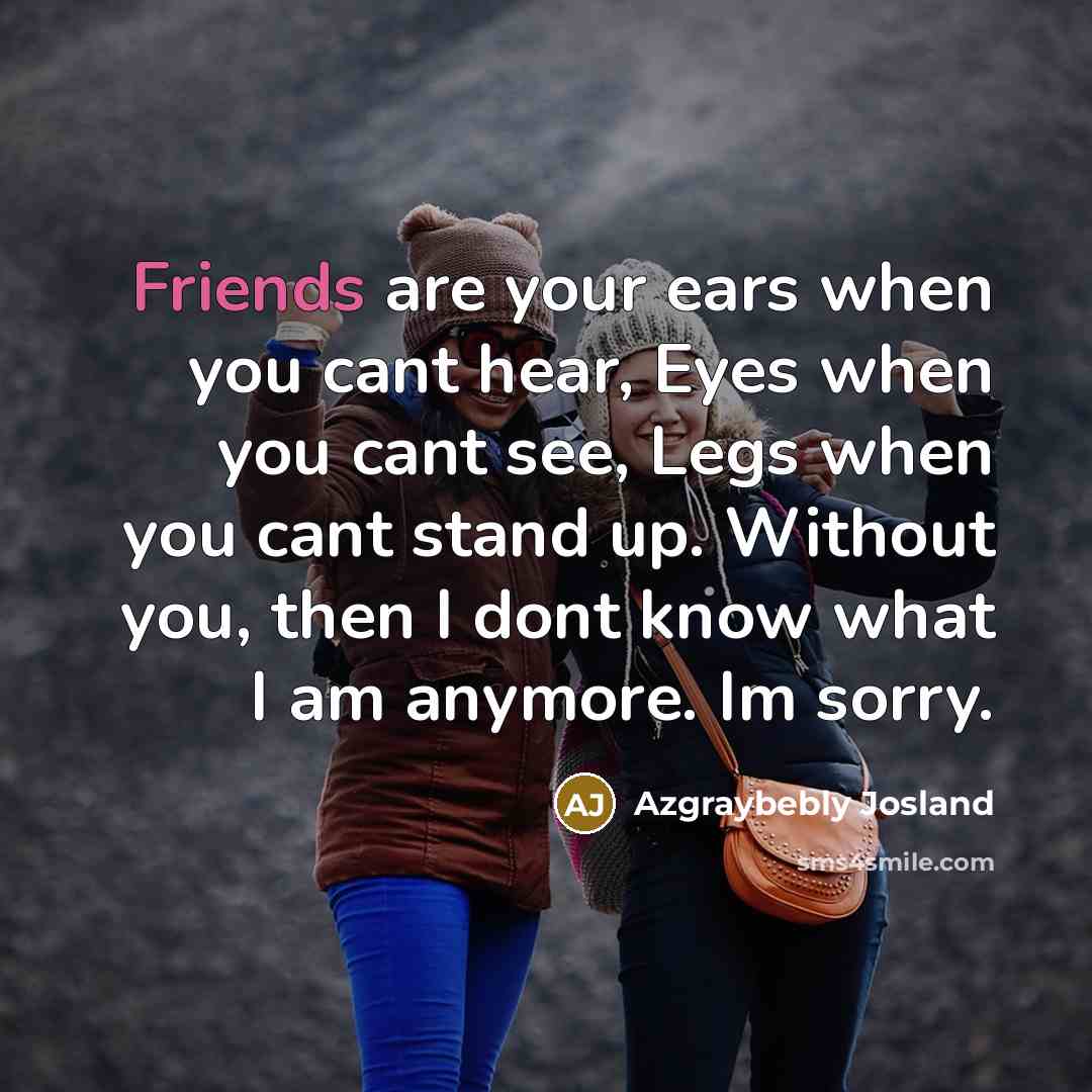 “Friends are your ears when you cant hear, Eyes when you cant see, Legs when you cant stand up. Without you, then I dont know what I am anymore. Im sorry.” quote by Azgraybebly Josland