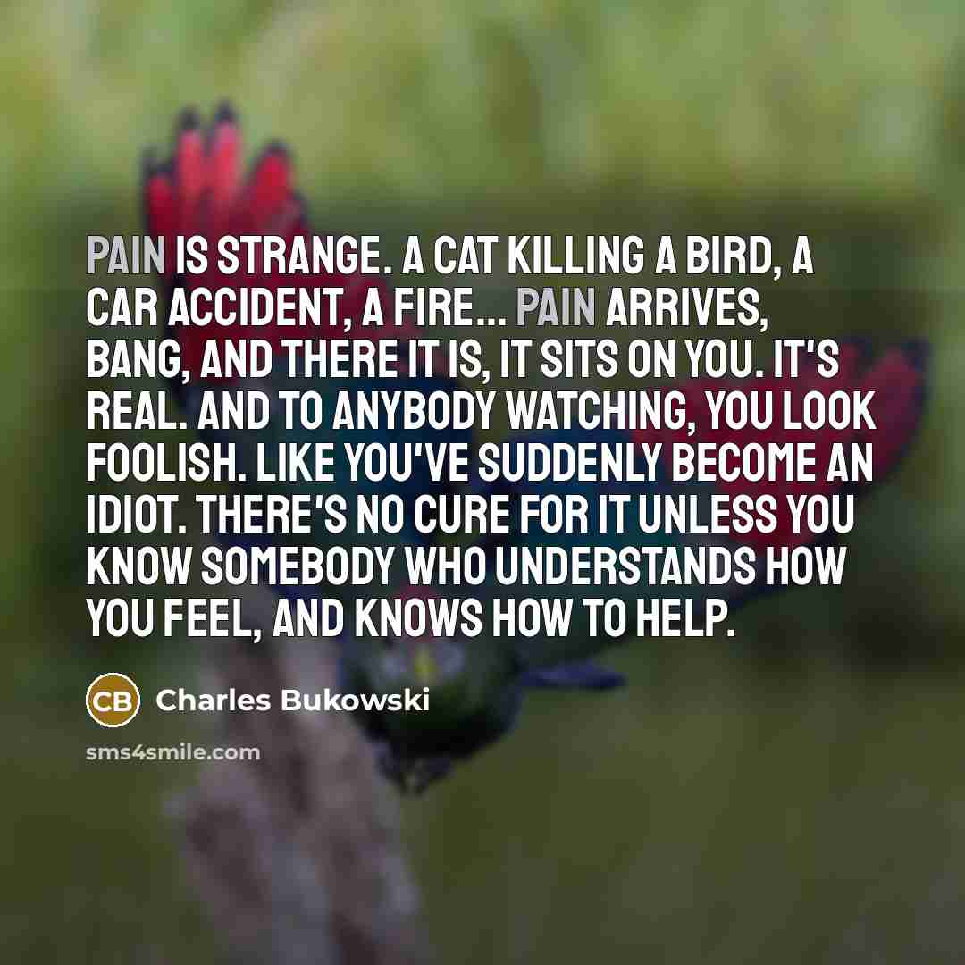 “Pain is strange. A cat killing a bird, a car…” quote by Charles Bukowski