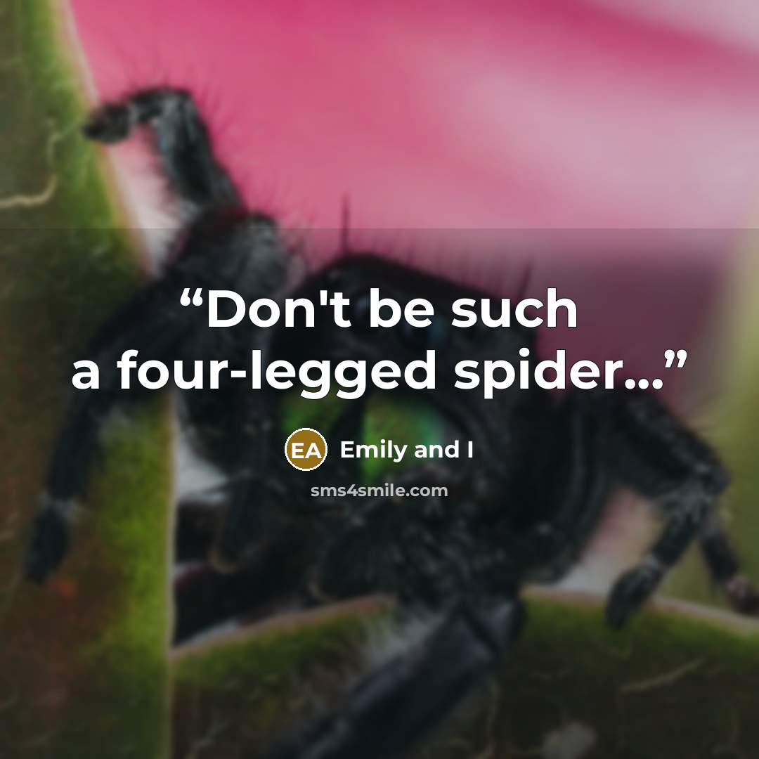 “Don't be such a four-legged spider...” quote by Emily and I