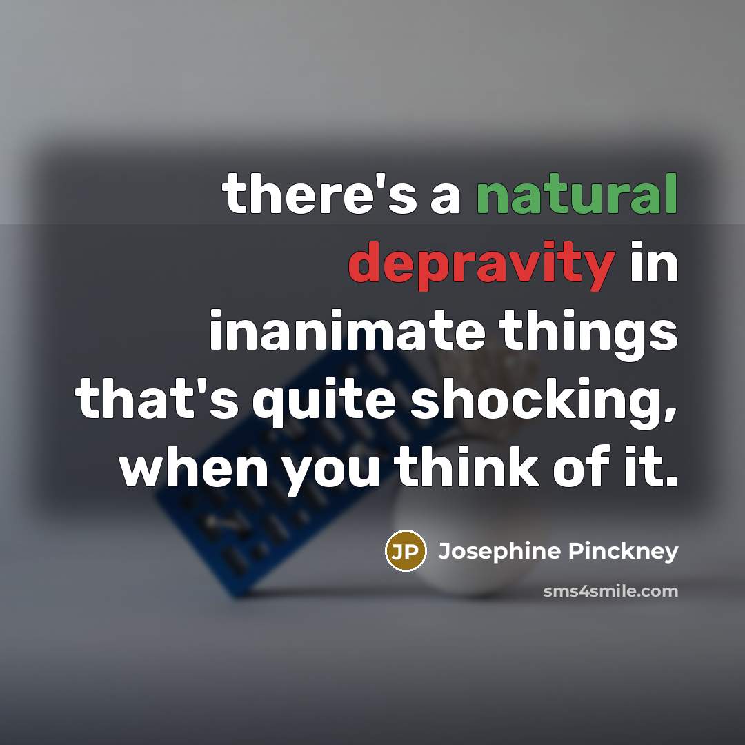 “there's a natural depravity in inanimate things that's quite shocking,…” quote by Josephine Pinckney
