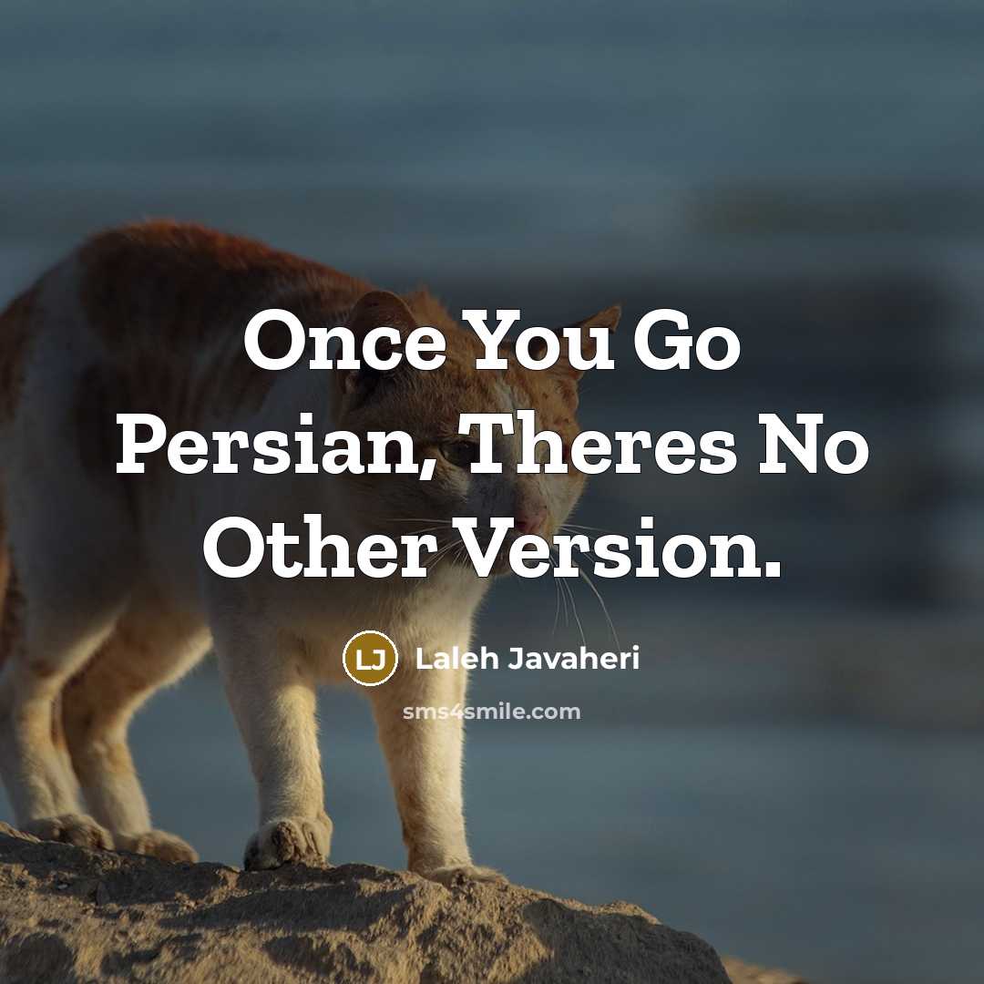 “Once You Go Persian, Theres No Other Version.…” quote by Laleh Javaheri