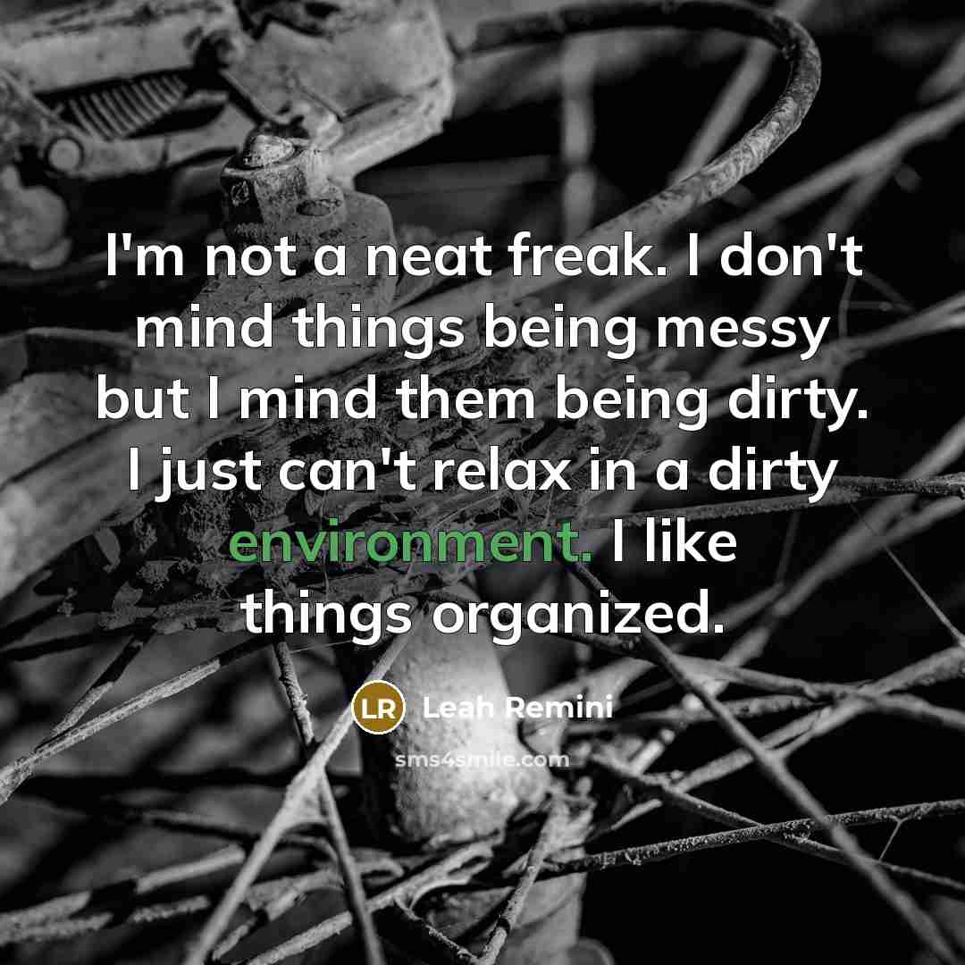 “I'm not a neat freak. I don't mind things being…” quote by Leah Remini