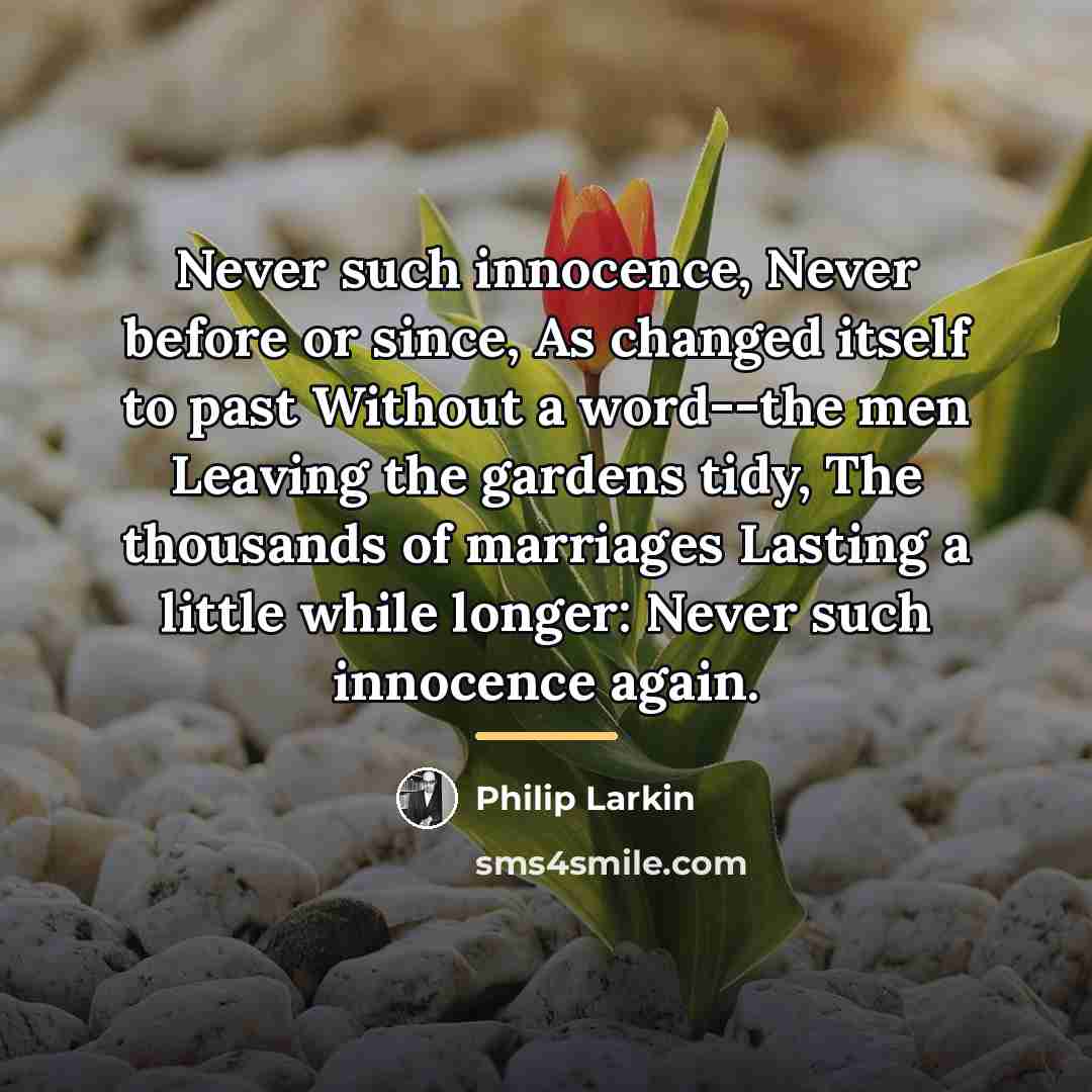 “Never such innocence, Never before or since, As changed itself…” quote by Philip Larkin