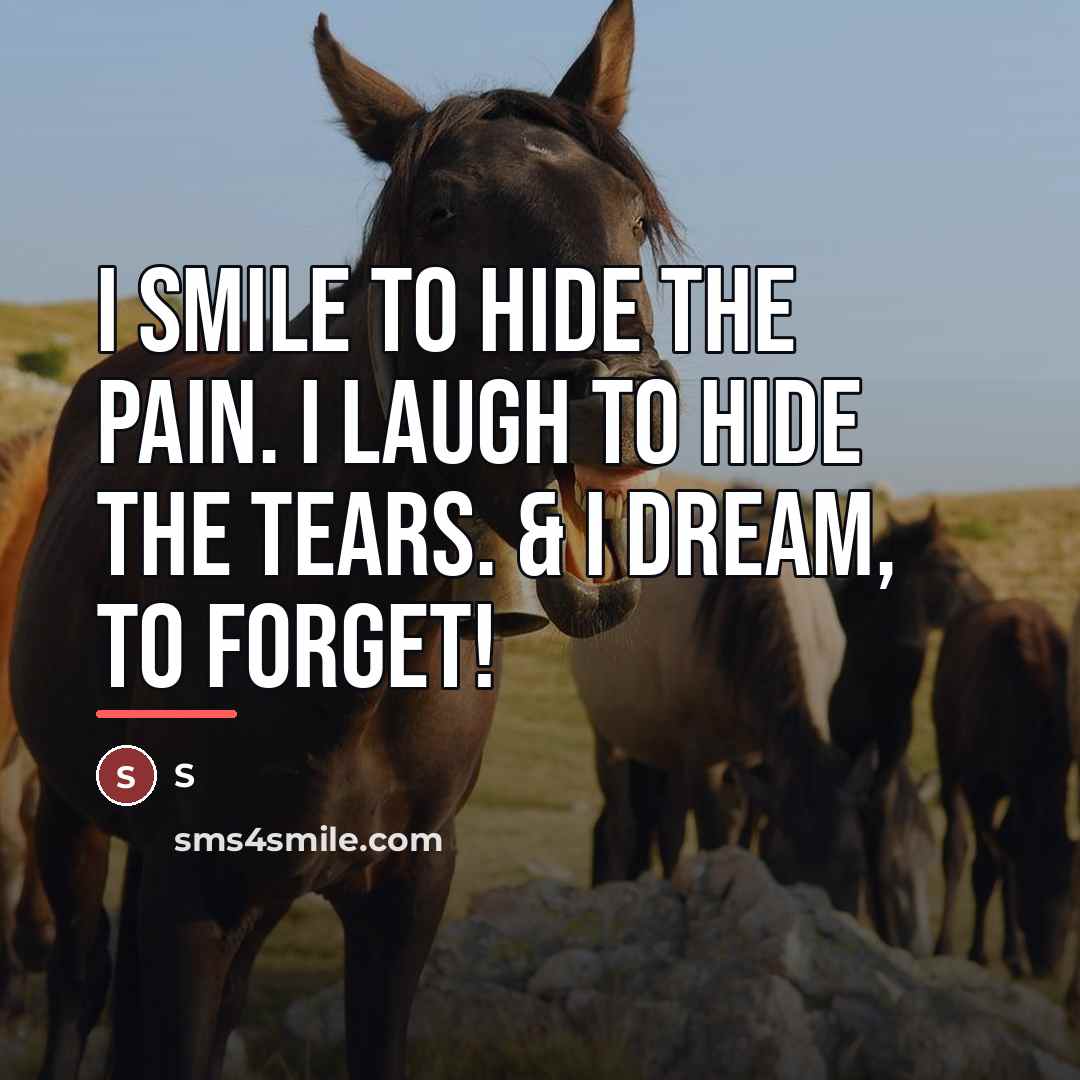 “I smile to hide the pain. I laugh to hide…” quote by S