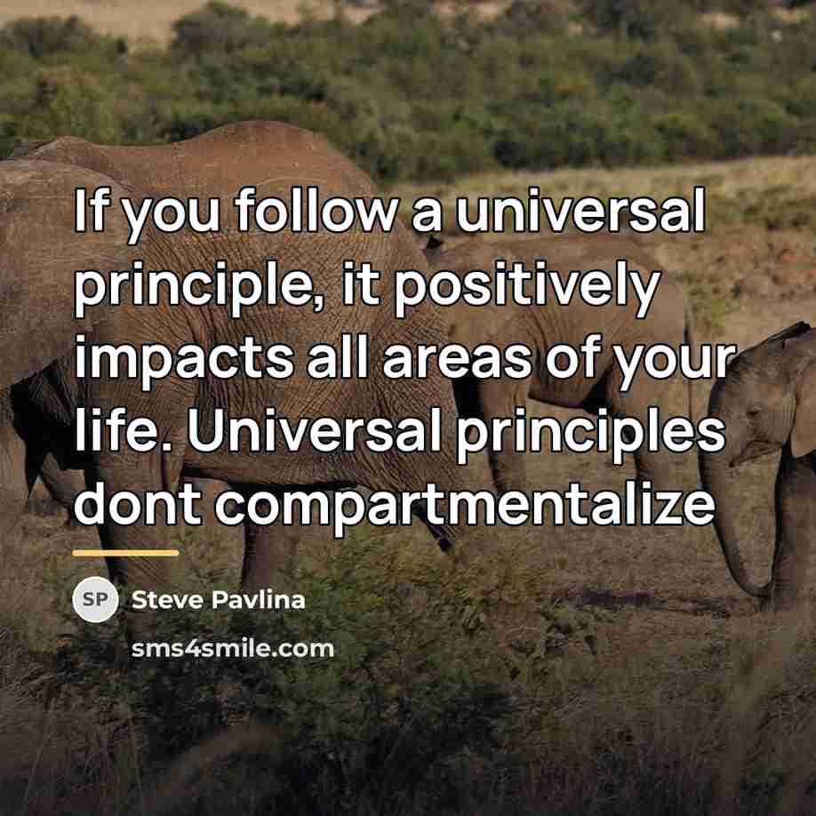 “If you follow a universal principle, it positively impacts all…” quote by Steve Pavlina