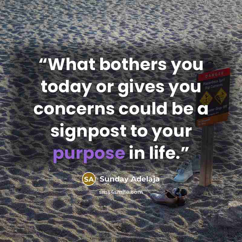 “What bothers you today or gives you concerns could be a signpost to your purpose in life.” quote by Sunday Adelaja