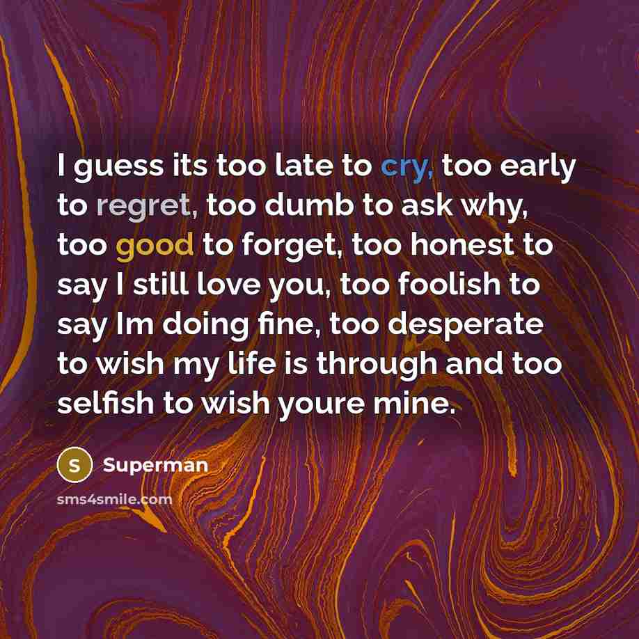 “I guess its too late to cry, too early to…” quote by Superman