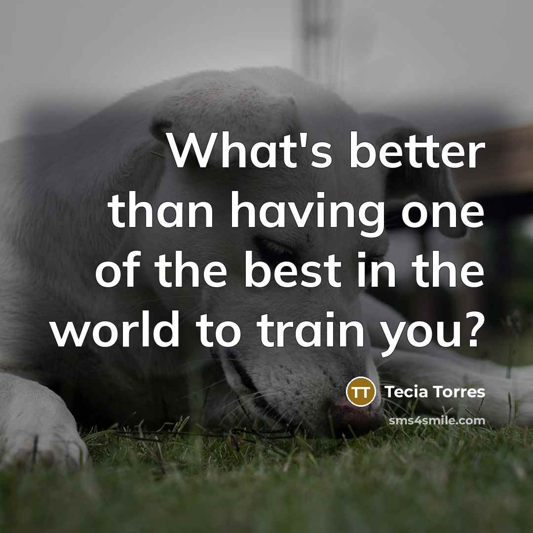 “What's better than having one of the best in the…” quote by Tecia Torres