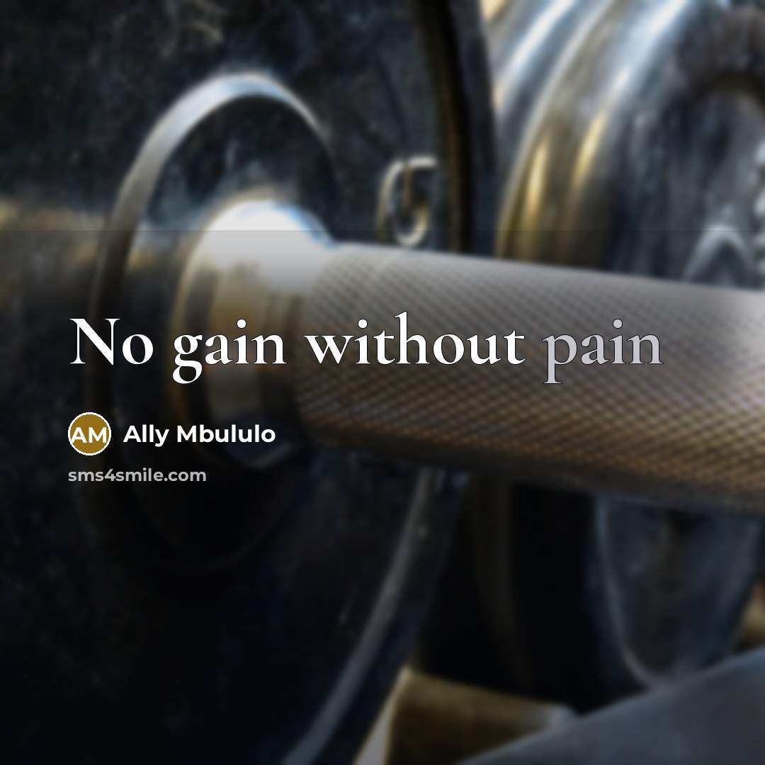“No gain without pain” quote by Ally Mbululo