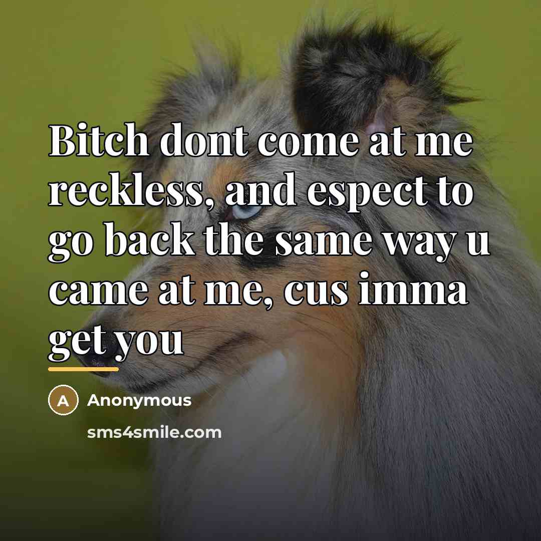 “Bitch dont come at me reckless, and espect to go…” quote by Anonymous