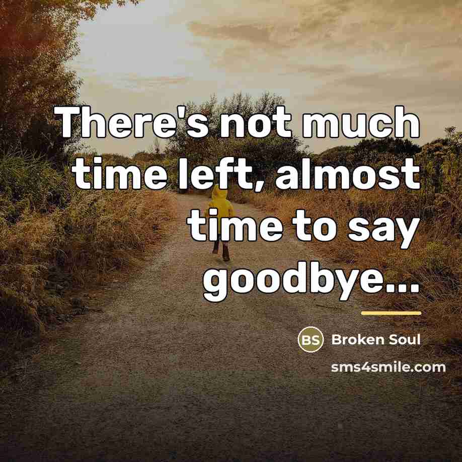 “There's not much time left, almost time to say goodbye...…” quote by Broken Soul