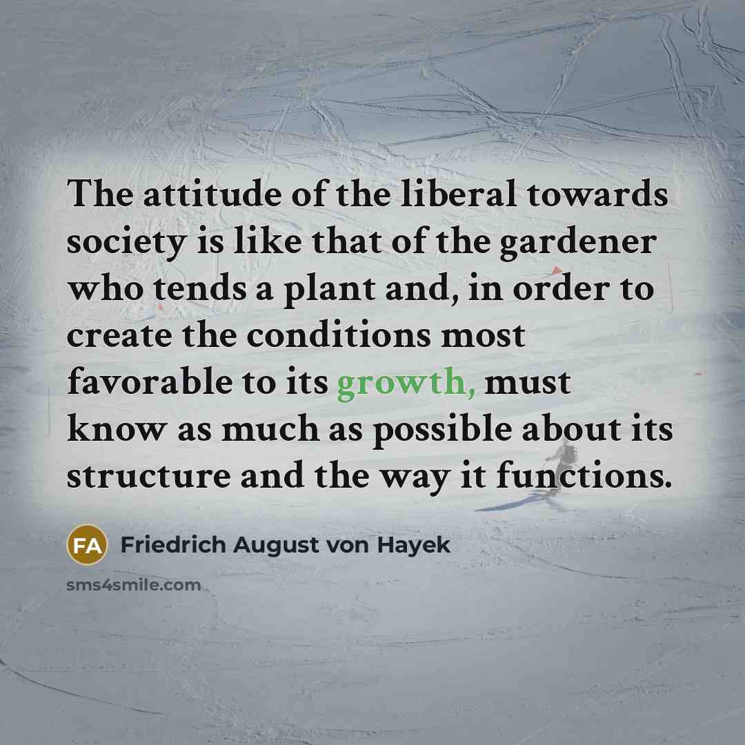 “The attitude of the liberal towards society is like that…” quote by Friedrich August von Hayek
