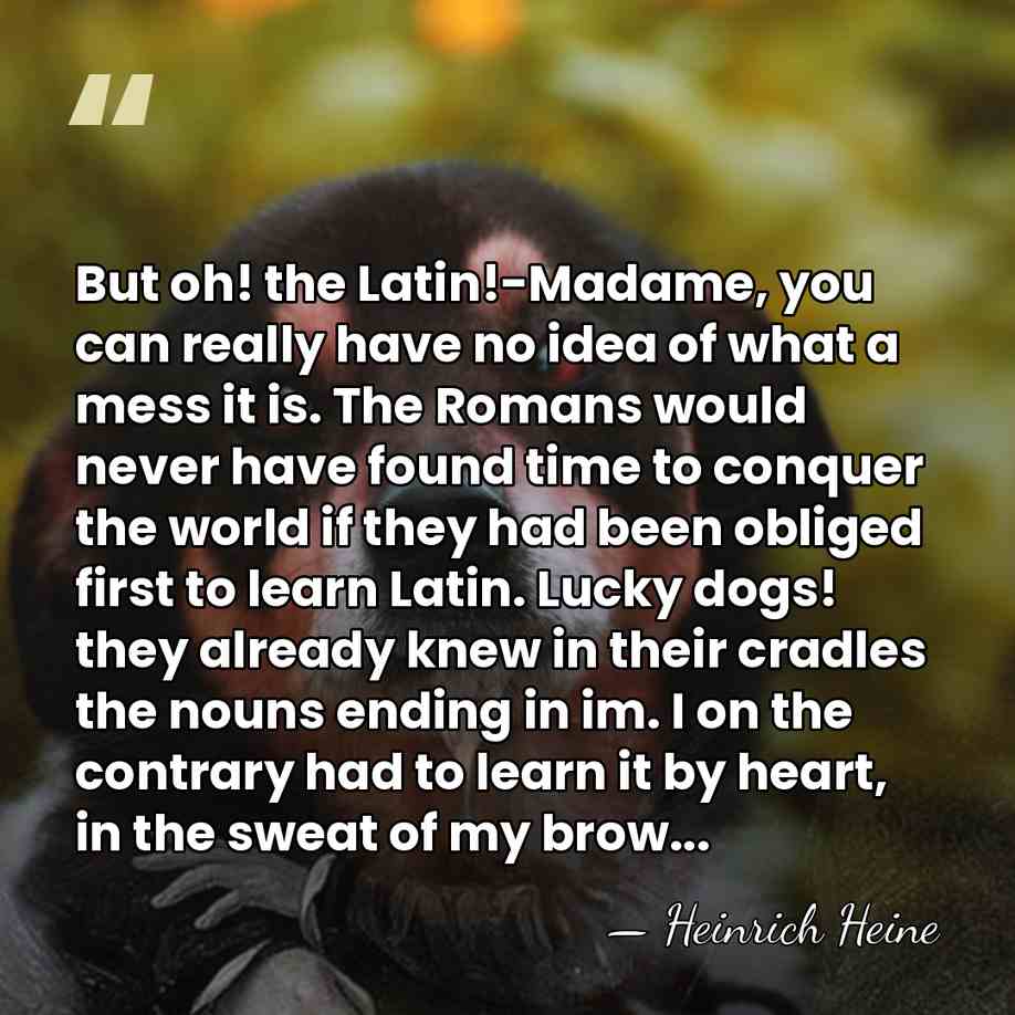 But oh! the Latin!-Madame, you can really have no idea of what&hellip; - Heinrich Heine