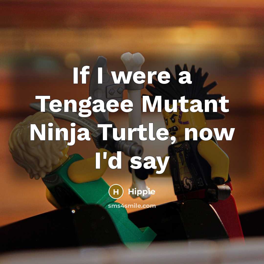 “If I were a Tengaee Mutant Ninja Turtle, now I'd say” quote by Hippie