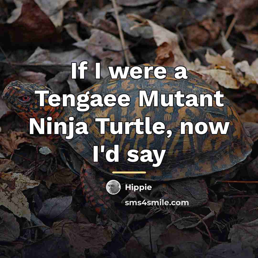 “If I were a Tengaee Mutant Ninja Turtle, now I'd…” quote by Hippie